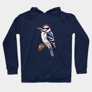 Woodpecker Backyard Birds Birders Birdwatchers Hoodie